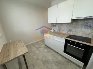 Pronájem bytu 1+1, Frýdek-Místek - Místek, Frýdlantská, 36 m2