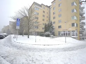 Pronájem bytu 3+kk, Brno, Majdalenky, 161 m2