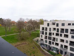 Pronájem bytu 2+kk, Praha - Žižkov, Olgy Havlové, 51 m2
