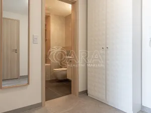 Pronájem bytu 2+kk, Praha - Žižkov, Olgy Havlové, 52 m2