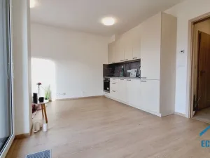 Pronájem bytu 1+kk, Praha - Chodov, Drahňovická, 32 m2