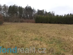 Prodej pole, Srby, 24690 m2