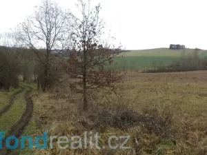 Prodej pole, Srby, 24690 m2