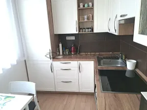 Pronájem bytu 4+1, Přední Výtoň, 95 m2