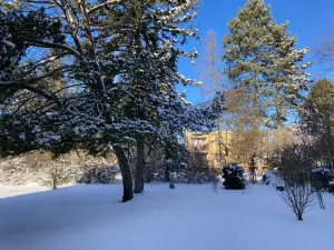 Pronájem bytu 2+1, Luštěnice, 53 m2