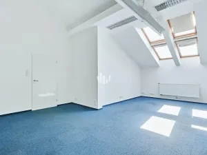 Pronájem kanceláře, Praha - Nové Město, U Bulhara, 100 m2