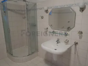 Pronájem rodinného domu, Brno, Hatě, 370 m2