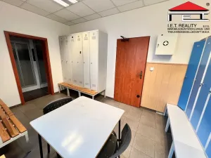 Pronájem skladu, Ostrava, Sokolská třída, 181 m2