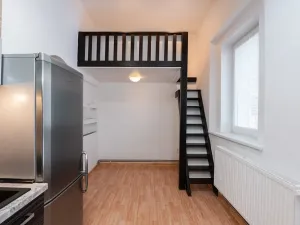 Pronájem bytu 1+1, Krupka, Bohosudovská, 45 m2