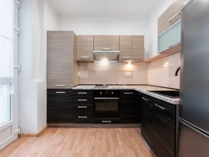 Pronájem bytu 1+1, Krupka, Bohosudovská, 45 m2