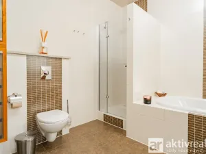 Pronájem bytu 4+kk, Praha - Vinohrady, Perucká, 180 m2