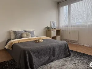 Prodej bytu 1+1, Hradec Králové, Polní, 26 m2