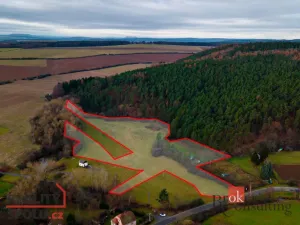 Prodej pozemku pro bydlení, Plasy - Babina, 18341 m2