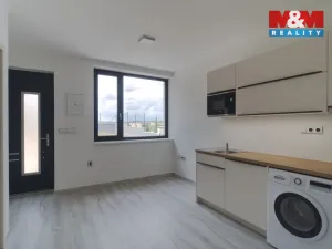 Pronájem bytu 1+kk, Praha, Pleštilova, 22 m2
