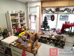 Prodej rodinného domu, Znojmo, Velká Michalská, 326 m2