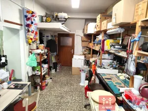 Prodej rodinného domu, Znojmo, Velká Michalská, 326 m2