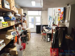 Prodej rodinného domu, Znojmo, Velká Michalská, 326 m2