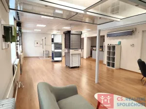 Prodej obchodního prostoru, Znojmo, Velká Michalská, 326 m2