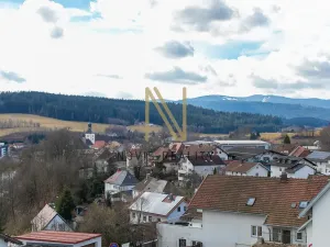 Prodej vícegeneračního domu, Regen,Německo, 213 m2