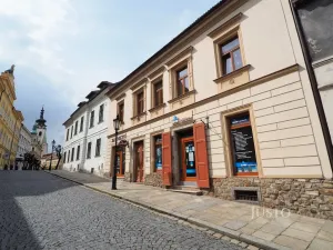 Pronájem obchodního prostoru, Písek - Vnitřní Město, Smetanova, 21 m2