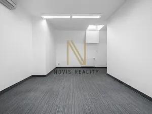 Pronájem kanceláře, Plzeň, Americká, 165 m2