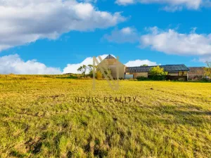 Prodej pozemku pro bydlení, Puclice, 3058 m2