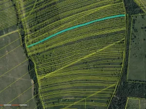 Prodej pole, Velká nad Veličkou, 4896 m2