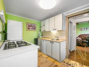 Prodej rodinného domu, Plzeň, Pod Lesem, 250 m2