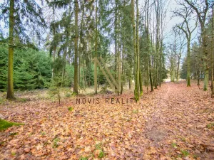 Prodej lesa, Chudenice, 7475 m2
