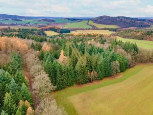 Prodej lesa, Chudenice, 7475 m2