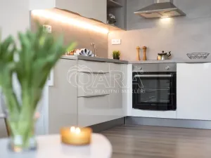 Prodej bytu 1+kk, Ostrava, Hornopolní, 29 m2