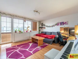 Prodej rodinného domu, Hrušovany nad Jevišovkou, 142 m2