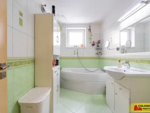 Prodej rodinného domu, Hrušovany nad Jevišovkou, 142 m2