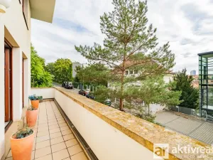 Pronájem bytu 4+kk, Praha - Vinohrady, Perucká, 180 m2