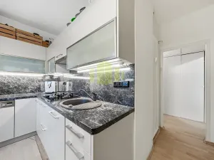 Prodej bytu 3+1, Olomouc, Kmochova, 60 m2