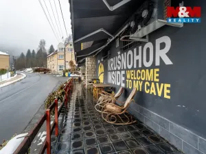 Prodej obchodního prostoru, Kraslice - Tisová, 560 m2