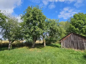 Prodej chalupy, Mnich, 100 m2