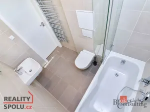 Pronájem bytu 1+kk, Praha - Libeň, Nad Rokoskou, 42 m2