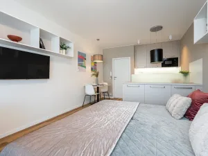 Pronájem bytu 1+kk, Brno - Bohunice, Studentská, 34 m2