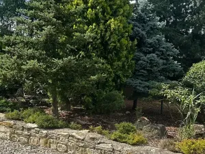 Prodej rodinného domu, Líský, 250 m2