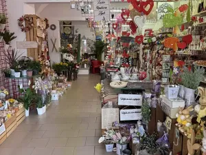 Prodej rodinného domu, Broumov, Mírové náměstí, 916 m2