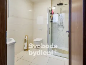 Prodej bytu 2+kk, Praha - Libeň, Prosecká, 64 m2