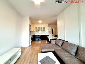 Pronájem bytu 2+kk, Brno, 60 m2