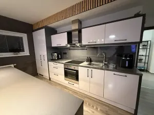 Pronájem bytu 3+kk, Plzeň, U Velkého rybníka, 104 m2