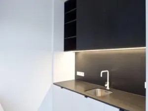 Pronájem bytu 1+kk, Praha - Vinohrady, Laubova, 39 m2