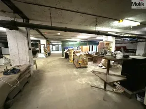 Pronájem skladu, Příbram - Příbram VII, Bož. Němcové, 1046 m2