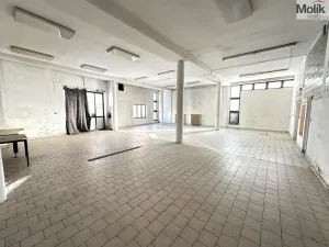 Pronájem obchodního prostoru, Příbram - Příbram VII, Bož. Němcové, 173 m2