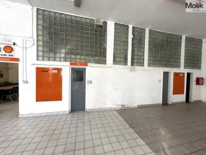 Pronájem obchodního prostoru, Příbram - Příbram VII, Bož. Němcové, 173 m2