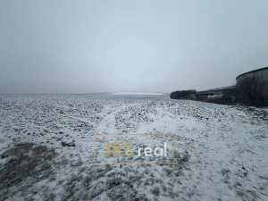 Prodej pole, Bořetice, 4209 m2