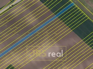 Prodej pole, Bořetice, 4209 m2